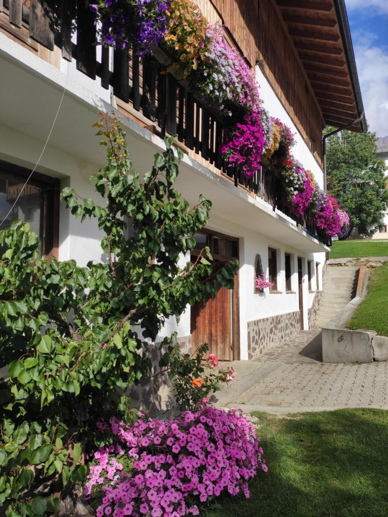 Agriturismo Anvi باديا المظهر الخارجي الصورة