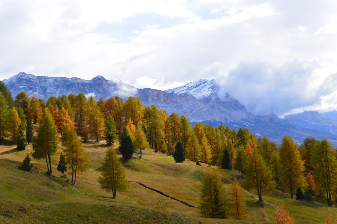 Agriturismo Anvi باديا المظهر الخارجي الصورة